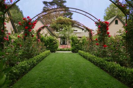 house-garden